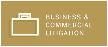 Business & Commercial Litigation